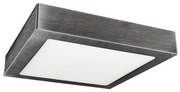 LED Stropné svietidlo FENIX LED/12W/230V 3800K 17 cm