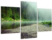 Obraz - Rieka pri lese (90x60 cm)