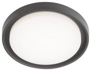 Redo 9184 - LED Vonkajšie stropné svietidlo BEZEL LED/30W/230V IP54 antracit