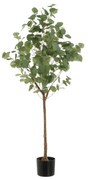 Umelý kvet Eucalyptus – Casa Selección