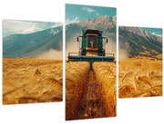 Obraz - Poľnohospodár (90x60 cm)