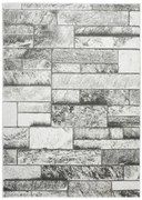 Koberec Felix 9250A lesklý sivý/krémový