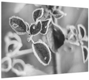 Obraz - Príroda na jeseň (70x50 cm)