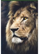 Trefl Puzzle Lev, 1500 dielikov