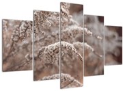 Obraz rastlín (150x105 cm)