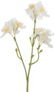 Dekoračné umelá vetvička s krémovými kvetmi Kersenboom - 25 cm