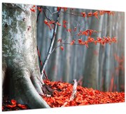 Obraz - Jeseň (70x50 cm)