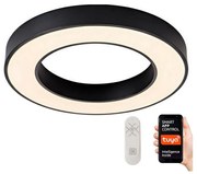 Immax Neo 07209L-LED Stmievateľné svietidlo PASTEL LED/53W/230V 60cm čierna Tuya+DO IM1206