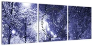 Obraz - Čarovná zimná noc (s hodinami) (90x30 cm)