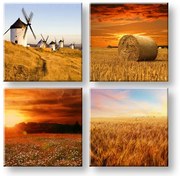 Obraz na stenu Simple life | rôzne rozmery