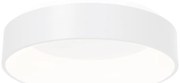 Stropné LED svietidlo Ohio, 1x LED 40w, 3000-4000k, w