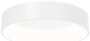 Stropné LED svietidlo Ohio, 1x LED 40w, 3000-4000k, w