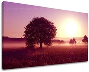 Obraz na stenu ZÁPAD SLNKA | rôzne rozmery