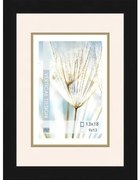 Fotorám 13x18, Quadro/8