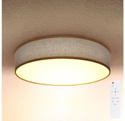 Brilagi - LED Stmievateľné stropné svietidlo CARMEN LED/48W/230V 3000-6500K + DO