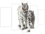 Obraz - Biely tiger (150x105 cm)