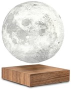 Hnedá svetelná dekorácia do zásuvky ø 12 cm Moon – Gingko