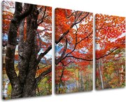 Obraz na stenu 3 dielny STROMY ST012E30