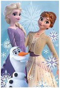 Detská fleecová deka Ľadové kráľovstvo - motív princezné s Olafom - 100 x 150 cm