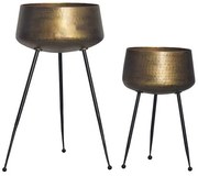 Dekoratívna sada dvoch kvetináčov Venere mosadz 65cm