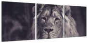 Obraz leva (s hodinami) (90x30 cm)