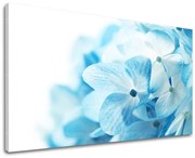 Obraz na stenu KVETY | rôzne rozmery