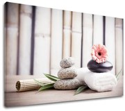 Obraz na plátne FENG SHUI_053-11 | rôzne rozmery