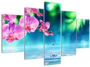 Obraz - Orchidea (150x105 cm)