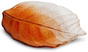 DEKORAČNÝ SKLENENÝ PODNOS SAVA (02) 26X19X2 CM ORANŽOVÝ