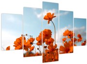 Obraz - Lúčne kvety (150x105 cm)