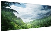 Obraz - Seychelská jungle (120x50 cm)