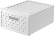 XXXLutz ZÁSUVKOVÝ BOX Rotho - Úložné boxy & dekoračné boxy - 003294017102