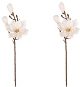 Set kvetov Magnólia, 2 ks, biela, 65 cm