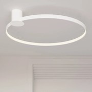 Stropné LED svietidlo Rio 55, 1x LED 30w, 3000k, w