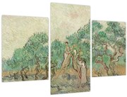 Obraz - Vincent van Gogh, The Olive Orchard, reprodukcia (90x60 cm)
