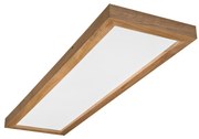 Brilagi - LED kúpeľňové svietidlo WOODY FRAME LED/50W/230V 120x30 cm IP44 dub