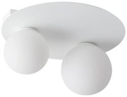 Stropné svietidlo ARGON 2xG9/12W/230V biela