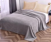 DEKA svetlo šedá Mikrovlákno 150x200 cm