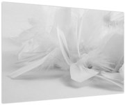 Obraz - Perie (90x60 cm)