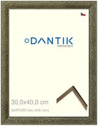 DANTIK rám na obraz 30x40 | SARTORI listy stříb (Plexi Čiré)