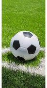 Jerry Fabrics Detská osuška s potlačou - Futbal - ihrisko | 70 x 140 cm