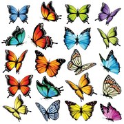Samolepiaca dekorácia Butterflies, 30 x 30 cm