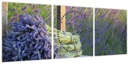 Obraz - Levanduľové zväzky (s hodinami) (90x30 cm)