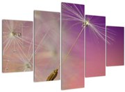 Obraz šťastia (150x105 cm)