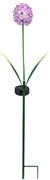 Zapichovacie záhradné solárne svetlo Flower, 70 cm, kov/plast, fialová