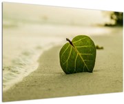 Obraz listu v piesku (90x60 cm)