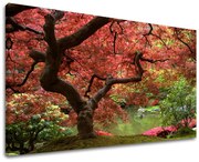 Obraz na stenu STROMY | rôzne rozmery