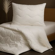 Celoročný Medical set paplón a vankúš z mikrovlákna Veľkosť: 90x130/45x65 cm