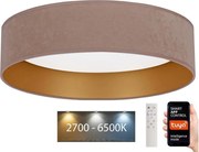 Brilagi - LED Stmievateľné svietidlo VELVET SMART LED/36W/230V Wi-Fi Tuya + DO