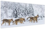 Obraz - Vlci v horách (120x50 cm)